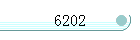 6202